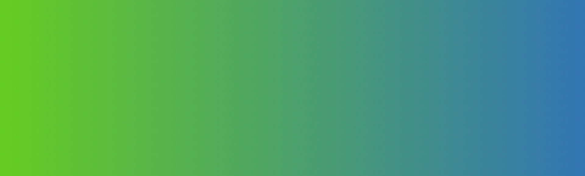bg06